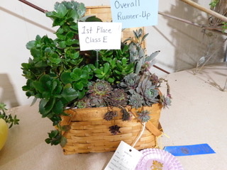 2025 Basket of Blooms Contest at Jackson County Fair