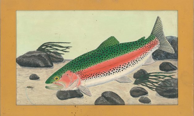 Wildlife Art Exhibit to be on Display at the Preston Public Library