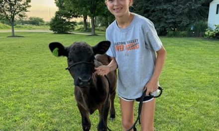 Local FFA and 4-H Members to Hold Local Show at Great River Threshers Weekend
