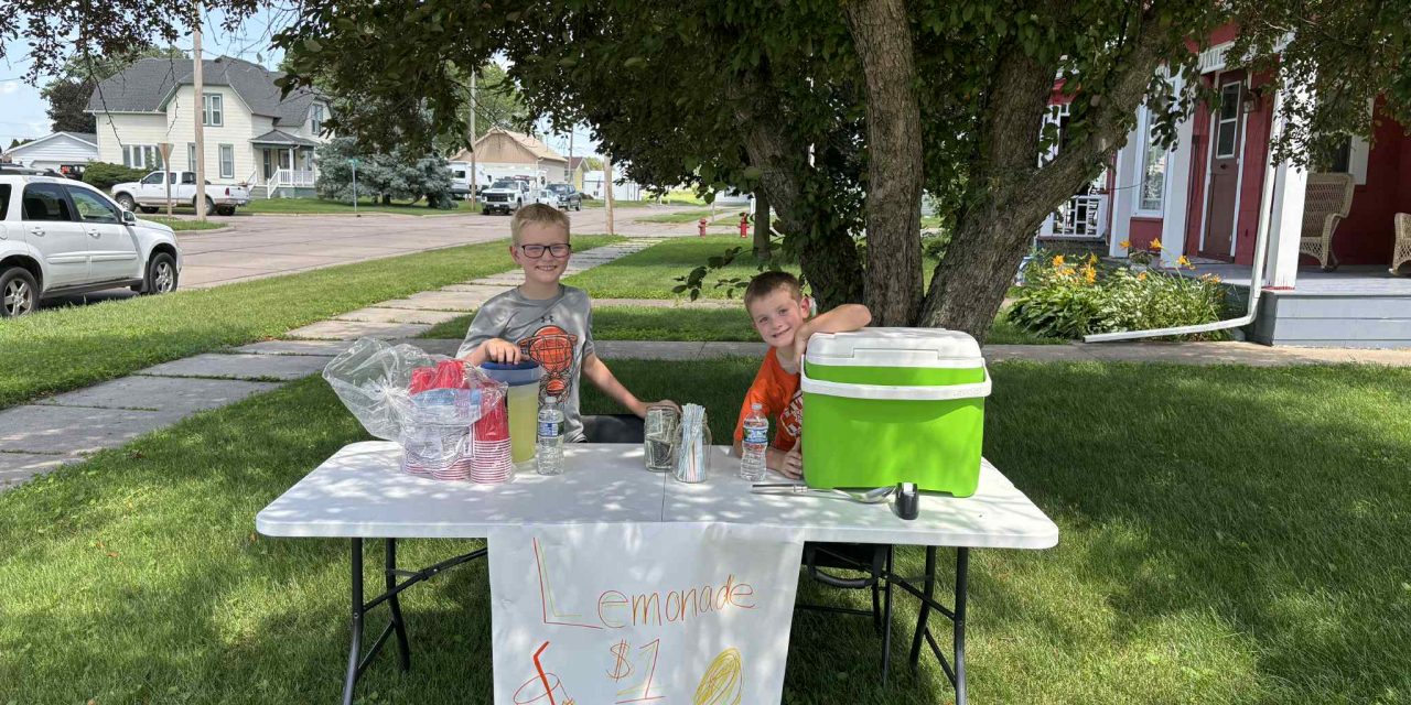 Lemonade Stands Popping Up Around Preston
