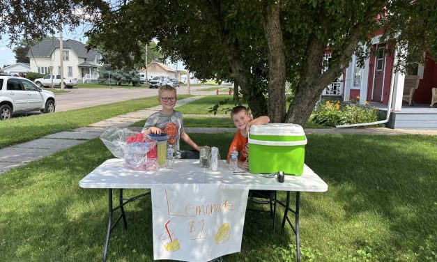 Lemonade Stands Popping Up Around Preston