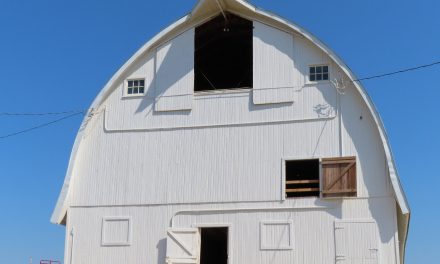 Barn Tour